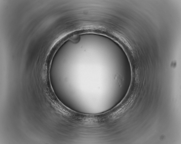 X0000096131021200801251011