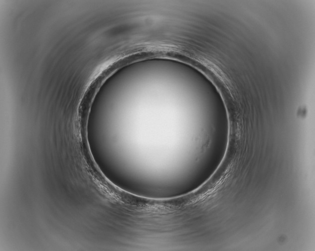 X0000096131022200801251011