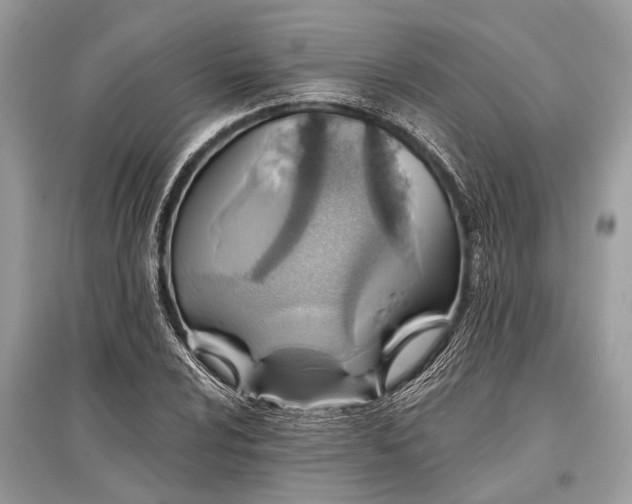 X0000096131024200801251011