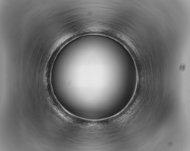X0000096131026200801251011