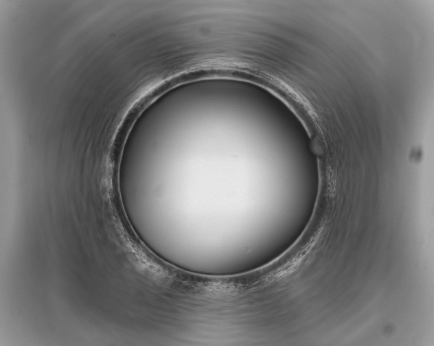 X0000096131029200801251011