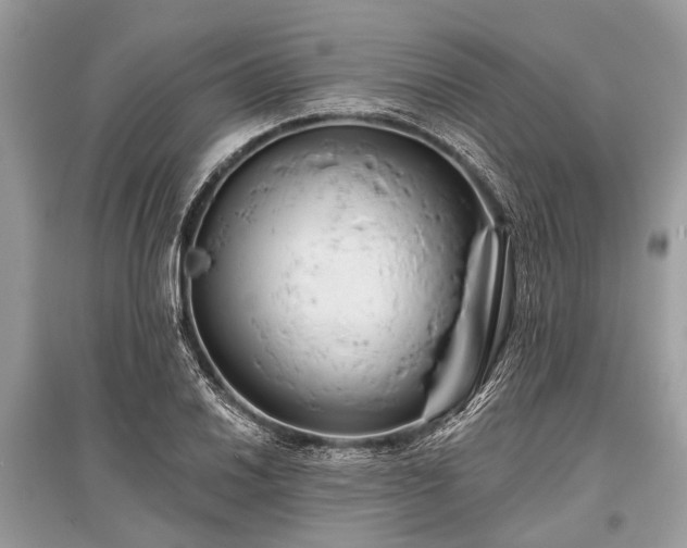 X0000096131030200801251011