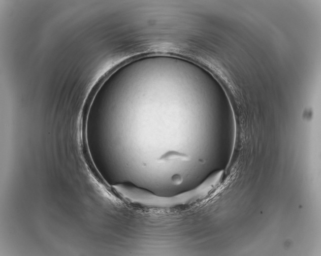 X0000096131032200801251011
