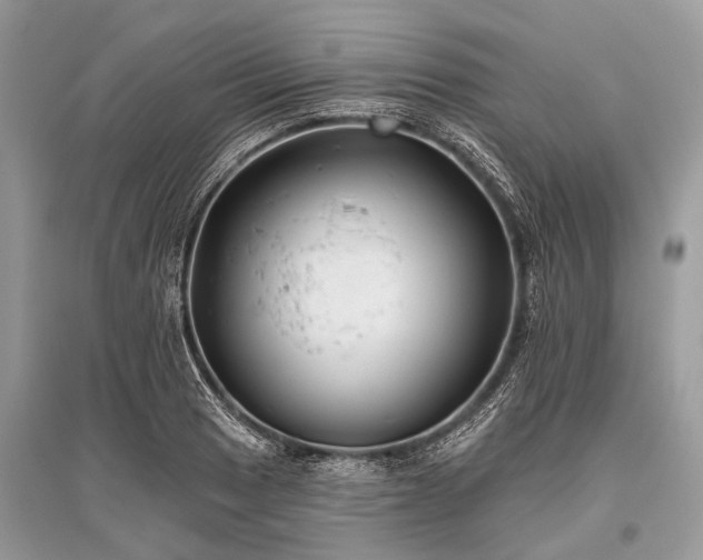 X0000096131033200801251011