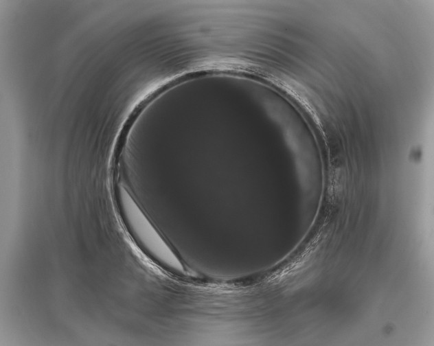 X0000096131037200801251011