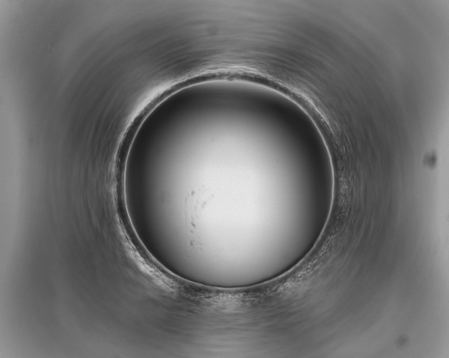 X0000096131038200801251011