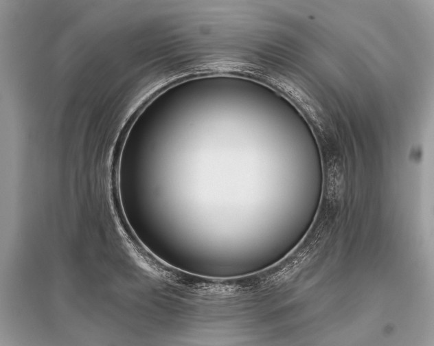 X0000096131039200801251011