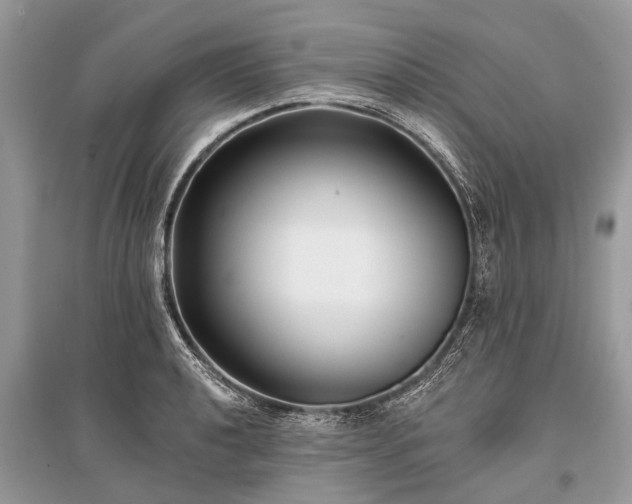 X0000096131040200801251011