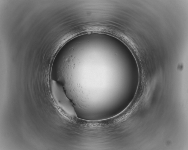 X0000096131041200801251011
