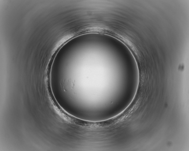 X0000096131042200801251011