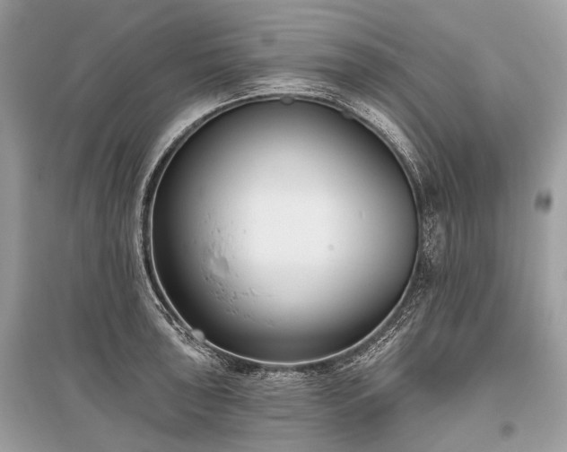 X0000096131043200801251011