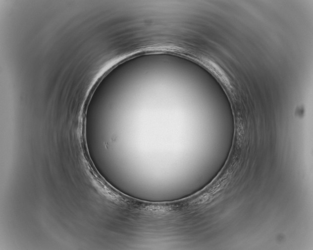 X0000096131044200801251011