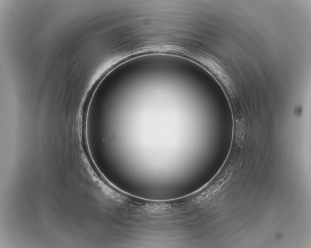 X0000096131046200801251011