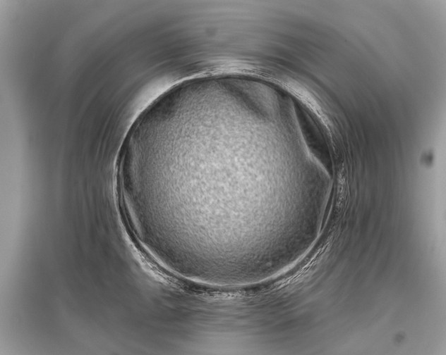 X0000096131047200801251011