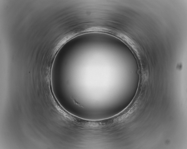 X0000096131049200801251011