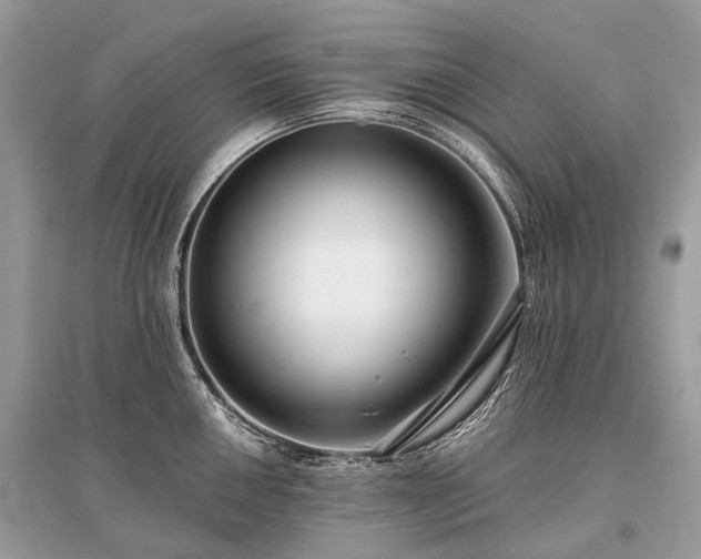 X0000096131050200801251011