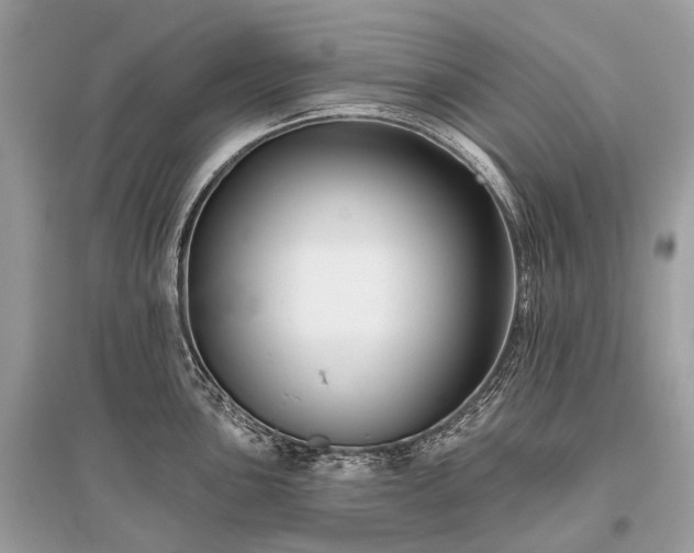 X0000096131051200801251011