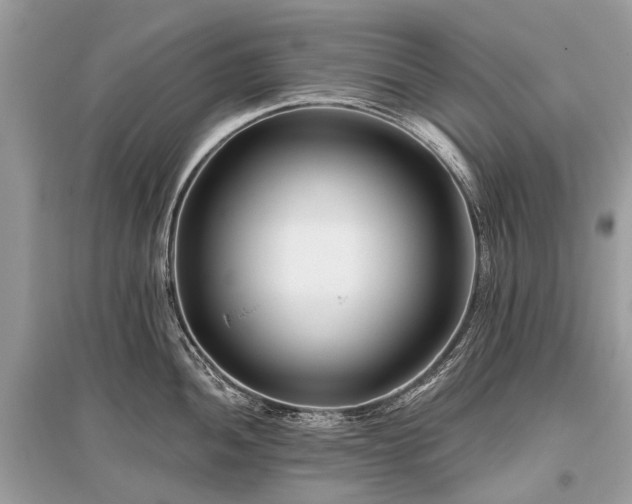 X0000096131052200801251012