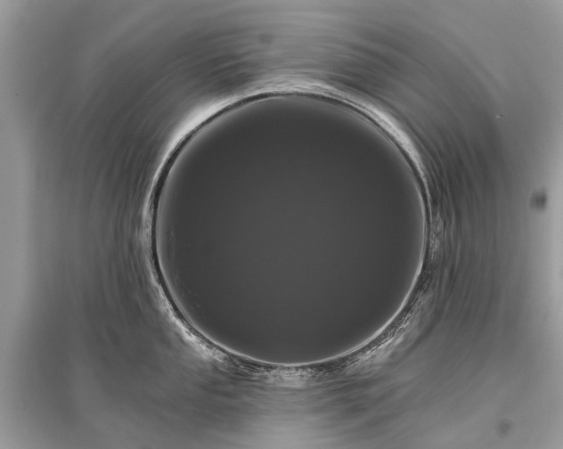 X0000096131053200801251012