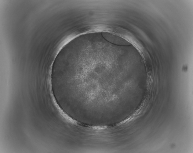 X0000096131055200801251012