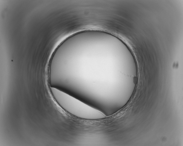 X0000096131056200801251012