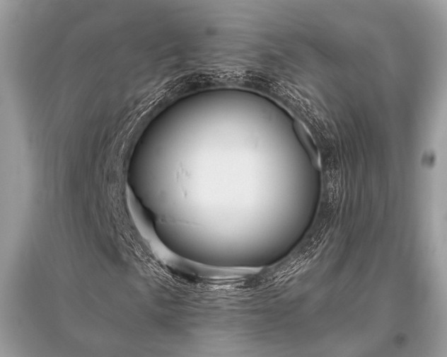 X0000096131057200801251011