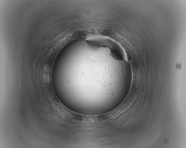 X0000096131058200801251011