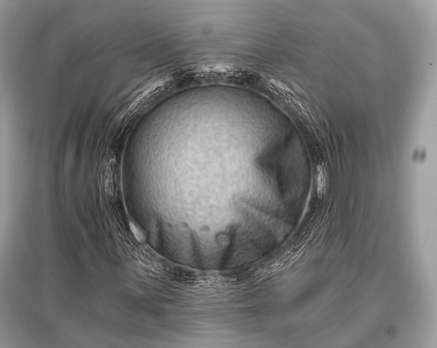 X0000096131059200801251011