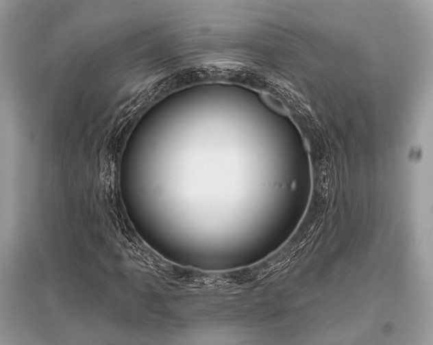 X0000096131061200801251011