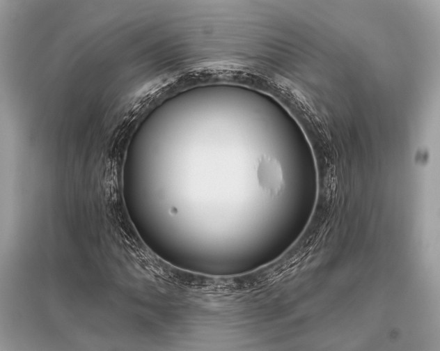 X0000096131062200801251011