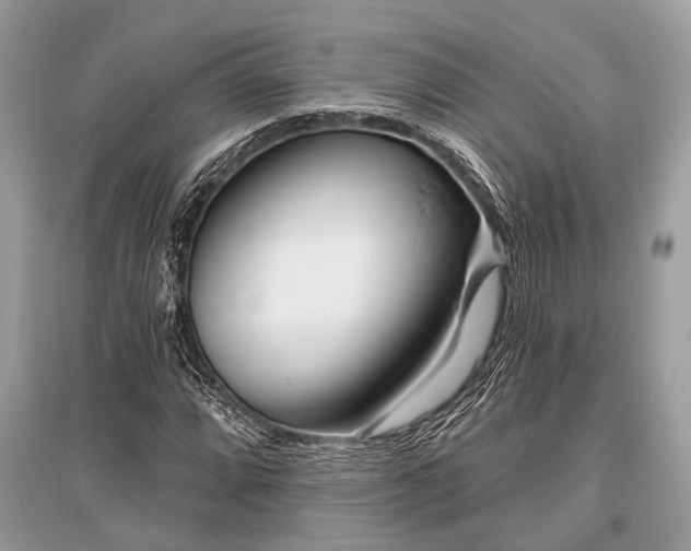 X0000096131064200801251011
