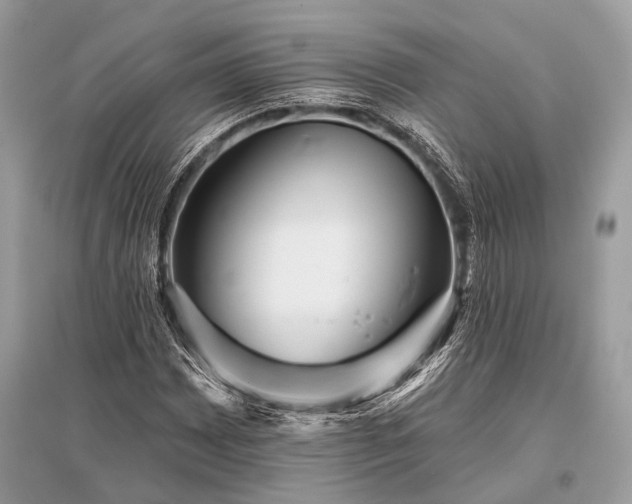 X0000096131065200801251011