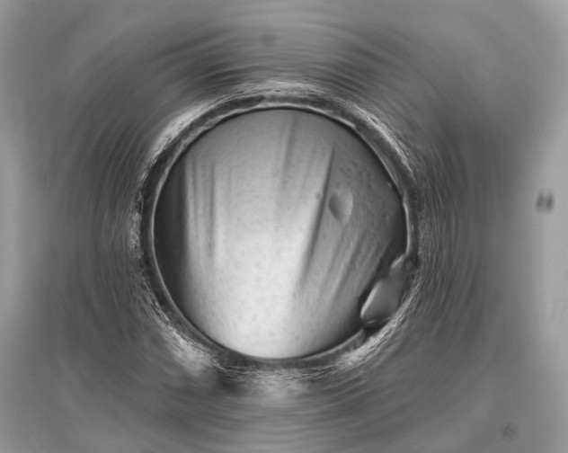 X0000096131066200801251011