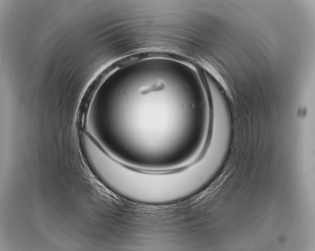 X0000096131068200801251011