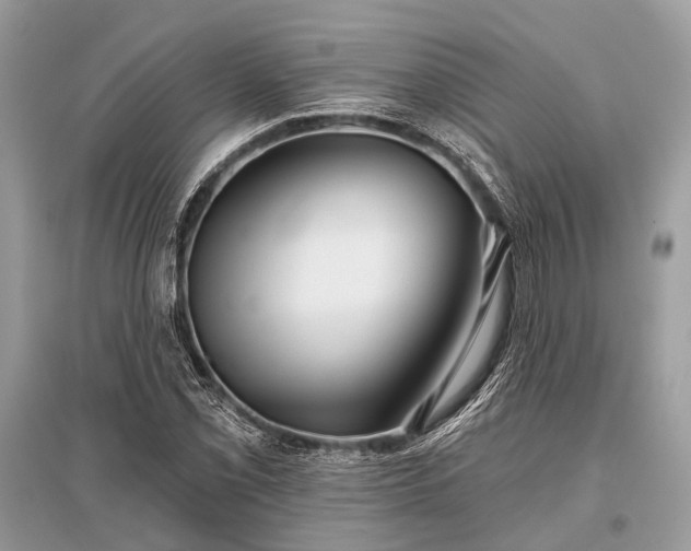X0000096131069200801251011
