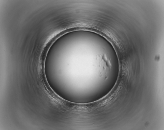 X0000096131070200801251011