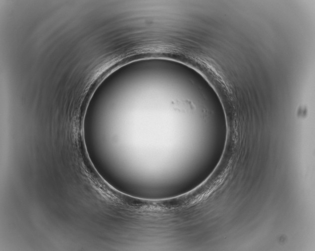 X0000096131073200801251011