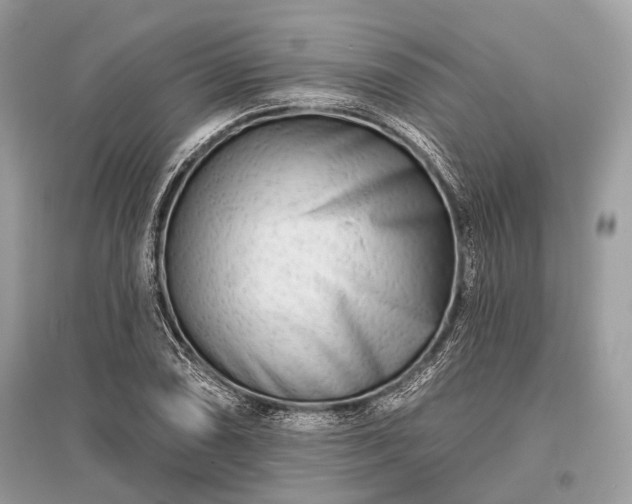X0000096131074200801251010
