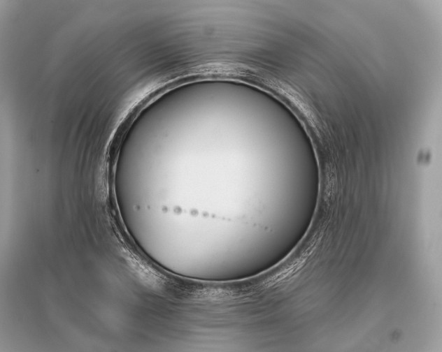 X0000096131075200801251010
