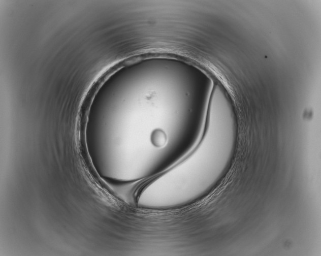 X0000096131076200801251010