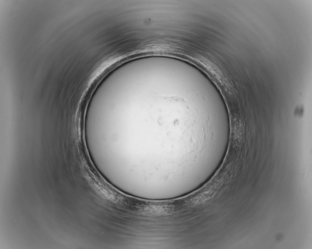 X0000096131078200801251010