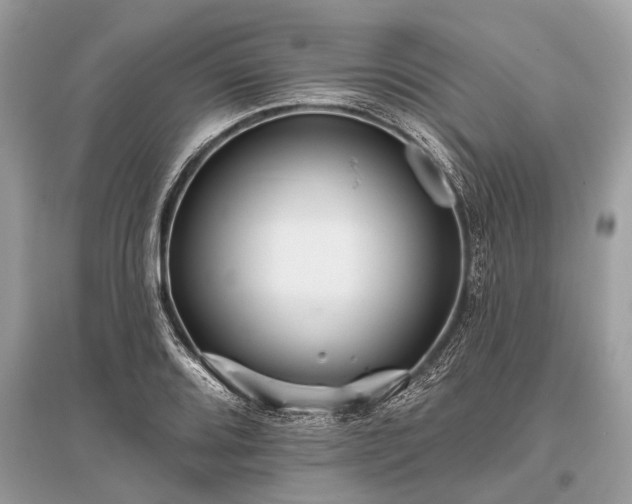 X0000096131080200801251010