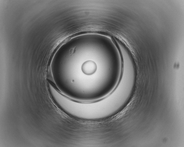 X0000096131081200801251010