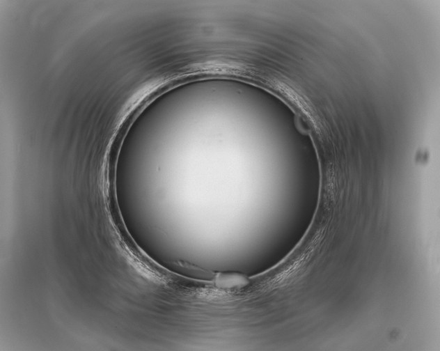 X0000096131082200801251010