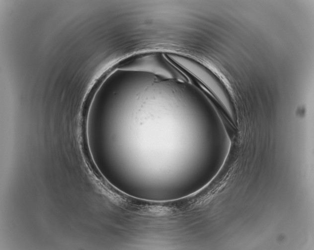 X0000096131085200801251010