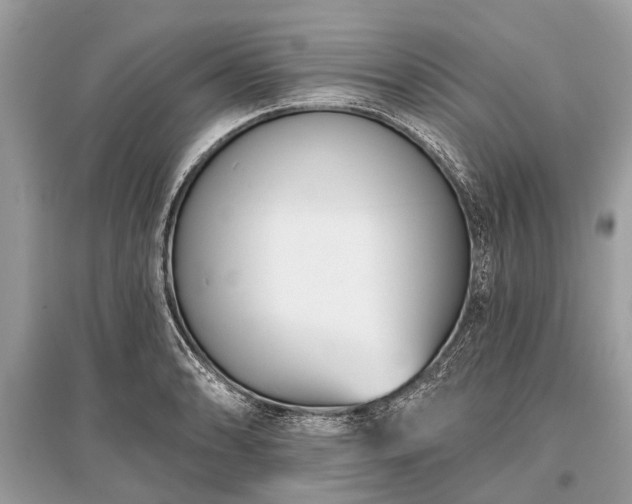 X0000096131086200801251010