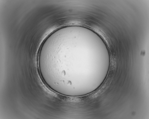 X0000096131090200801251010