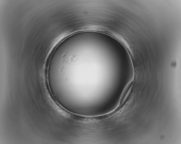 X0000096131091200801251010