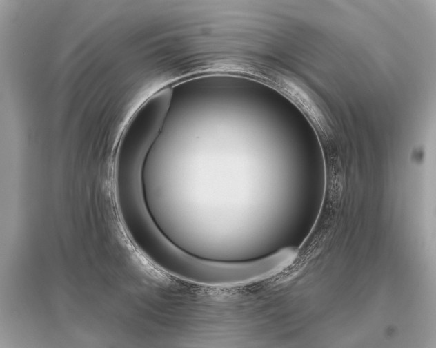X0000096131092200801251010