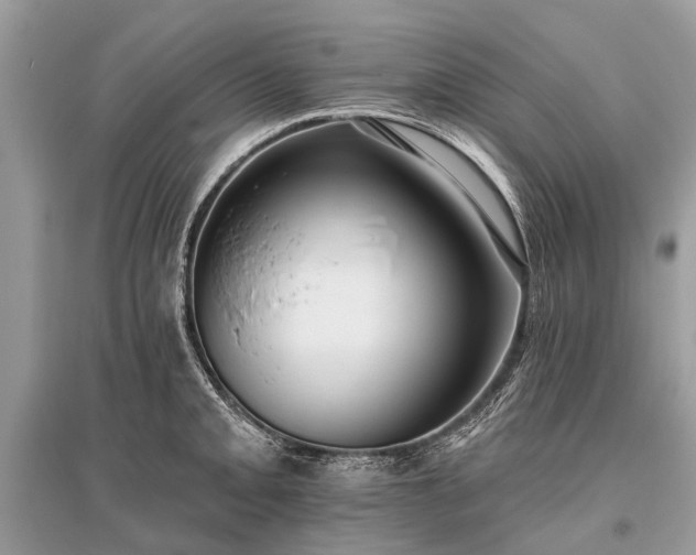 X0000096131093200801251010